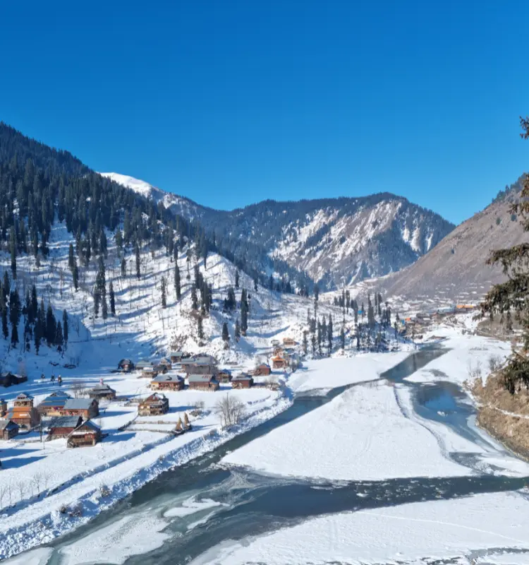 Shri Kesar Tours