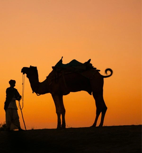  Shri kesar tours